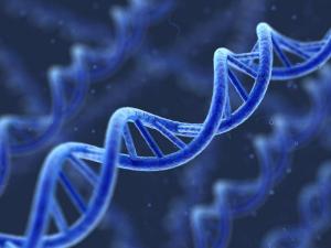DNA, Epigenome, genes