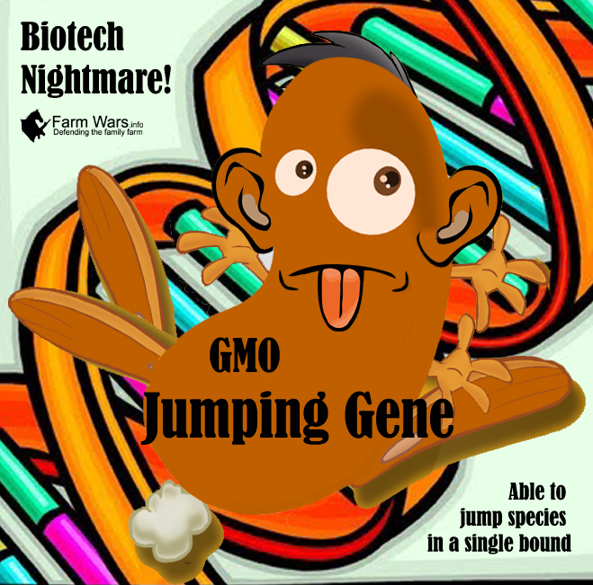 GMO-Jumping-Gene